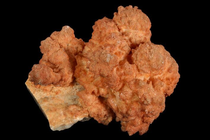 Orange Aragonite on Scalenohedral Calcite - Mexico #127086